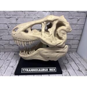 T-Rex 3D printed dinosaur skull large bone colored realistic With Stand Bone PLA